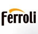Ferroli Castellon Servicio Tecnico